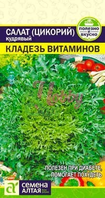 Салат Эндивий Кладезь Витаминов (0,5 гр) Семена Алтая