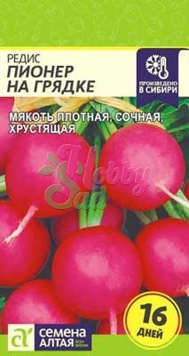 Редис Пионер на Грядке (16 дней) (1 г) Семена Алтая