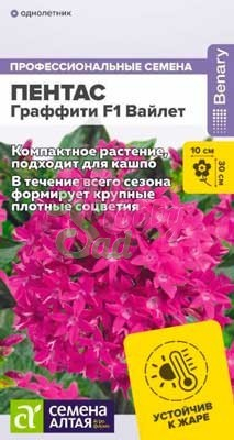 Цветы Пентас Граффити F1Вайлет ланцетовидный (3 шт) Семена Алтая