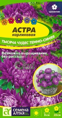 Цветы Астра Тысяча Чудес темно-синяя карликовая (0,2 гр) Семена Алтая