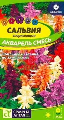 Цветы Сальвия Акварель (0,1 г) Семена Алтая