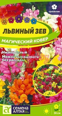 Цветы Львиный зев Магический Ковер (0,2 гр) Семена Алтая