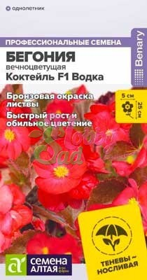 Цветы Бегония Коктейль F1 Водка вечноцветущая (5 шт) Семена Алтая НОВИНКА!