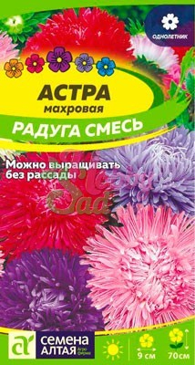 Цветы Астра Махровая Радуга смесь (0,1 гр) Семена Алтая