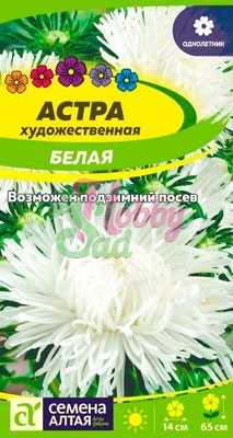 Цветы Астра Художественная Белая (0,3 гр) Семена Алтая