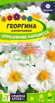 Цветы Георгина Отражение Нарцисса (0,2 г) Семена Алтая