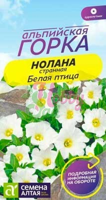 Цветы Нолана странная Белая Птица (0,3 г) Семена Алтая серия Альпийская Горка