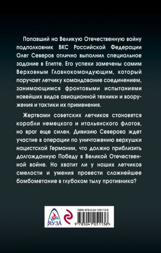 Уценка. Михаил Нестеров: Сталинский сокол. Комдив