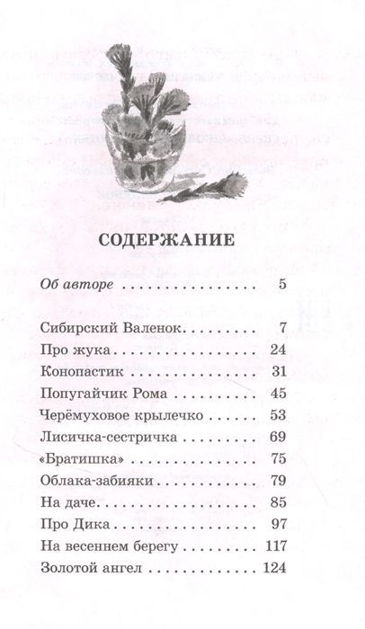 Сибирский Валенок. Рассказы
