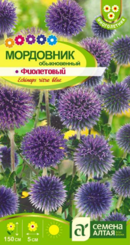 Цветы Мордовник Фиолетовый обыкновенный/Сем Алт/цп 0,2 гр. многолетник