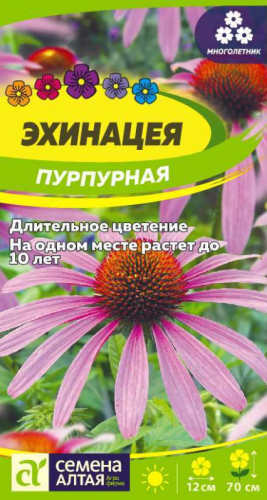 Цветы Эхинацея Пурпурная/Сем Алт/цп 0,2 гр. многолетник НОВИНКА