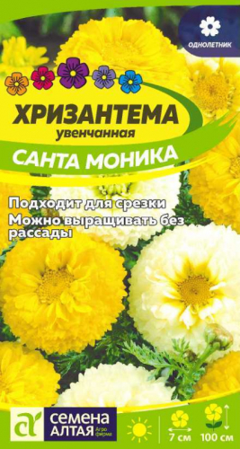 Цветы Хризантема Санта Моника увенчанная/Сем Алт/цп 0,3 гр. многолетник