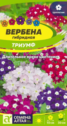 Цветы Вербена Триумф гибридная/Сем Алт/цп 0,1 гр.