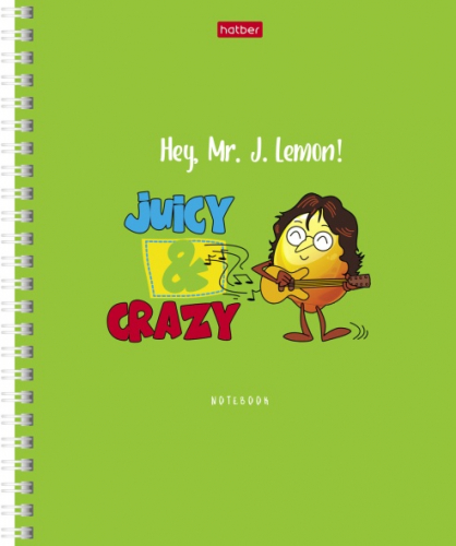 Тетрадь 48л А5ф клетка 65г/кв.м на гребне 4 диз.в блоке  серия -Mr.Lemon- 