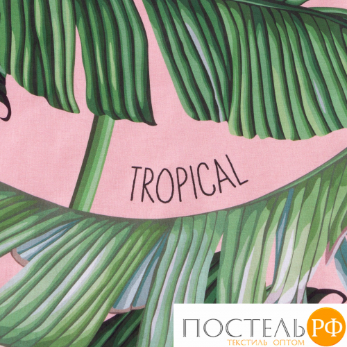 Постельное бельё Этель 1.5 сп Tropical 143х215 см, 150х214 см, 70х70 см - 2 шт