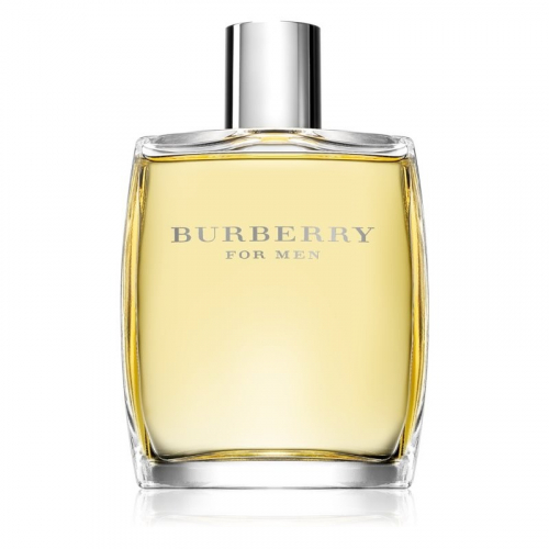 BURBERRY edt (m) 100ml TESTER