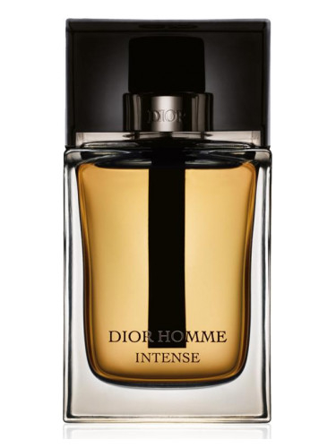 CHRISTIAN DIOR HOMME INTENSE edp (m) 100ml TESTER