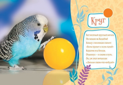 Формы. Учимся с пущистиками
