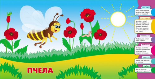 Развитие с нуля. Букашки