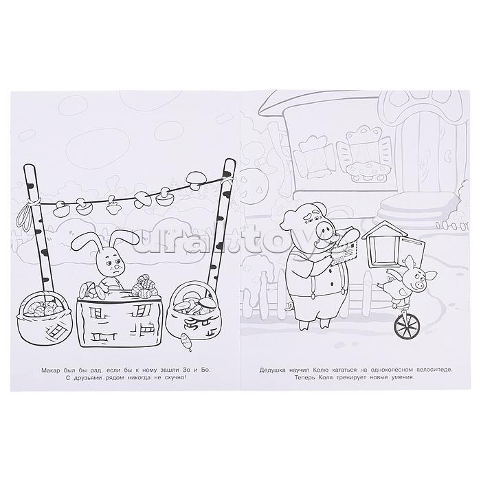 Волшебная раскраска № РК 2306