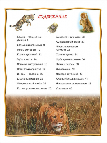 Большие кошки. 100 фактов
