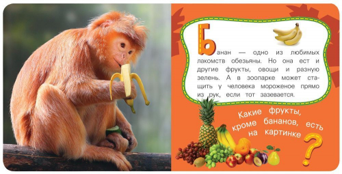 Обезьяна. Мои лучшие друзья