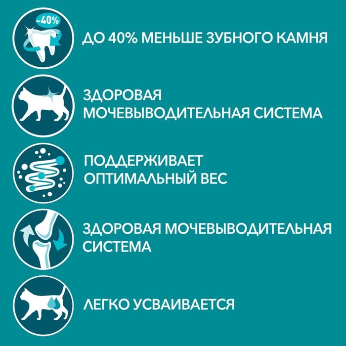Влажный корм Purinа One для кошек, говядина/морковь, 75 г