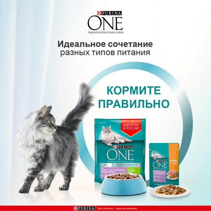 Влажный корм Purinа One для кошек, курица/морковь, 75 г