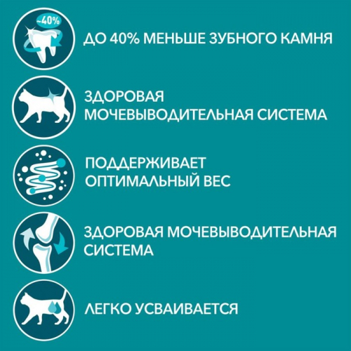 Влажный корм Purinа One для кошек, говядина/морковь, 75 г