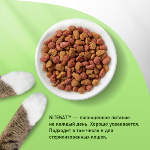 Сухой корм KiteKat 