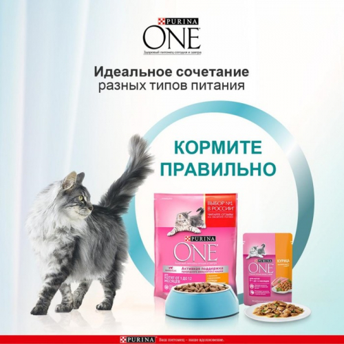 Влажный корм Purinа One для котят, курица/морковь, 75 г