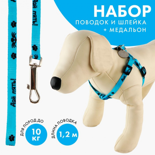 Поводок «Дай пять!» 120×1 см, шлейка 26-39 см, медальон