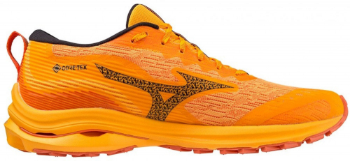 Кроссовки мужские SHOE WAVE RIDER GTX, Mizuno