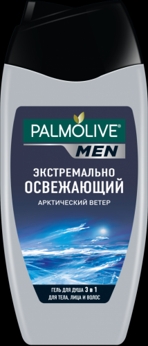 Шампунь Palmolive Арктический ветер 250 мл для мужчин