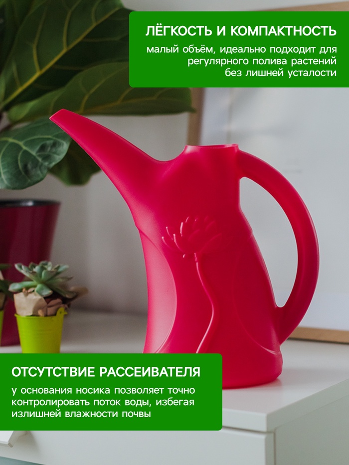 Лейка, 2 л, без рассеивателя, МИКС, «Лотос»