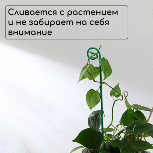 Колышек для подвязки растений, h=40 см, d=3 мм см, проволочный, зелёный, Greengo