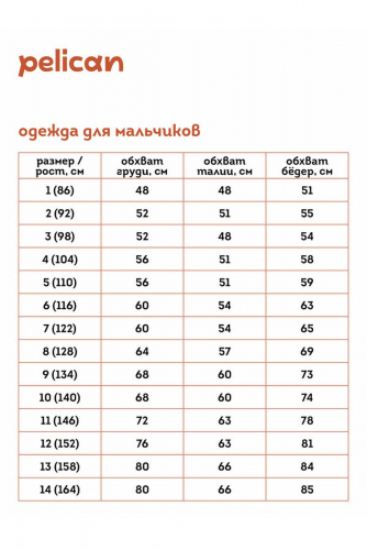 Джемпер-поло PELICAN #889877Черный