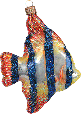 Scalar Fish A1968