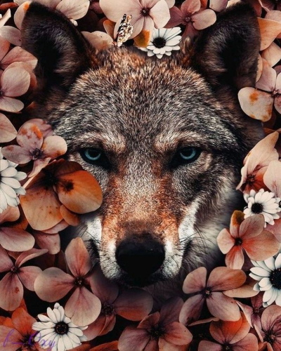 Волк в цветах