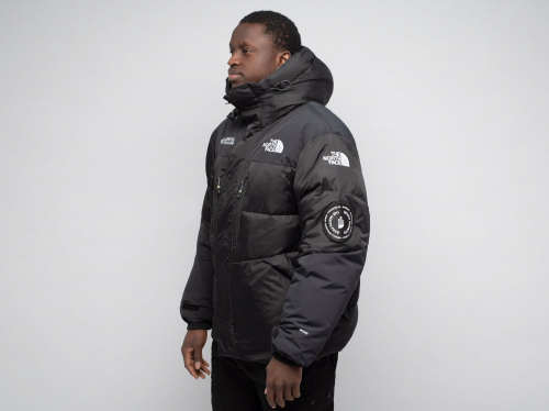 Куртка зимняя The North Face