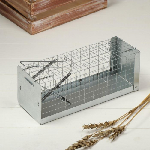 Крысоловка-ловушка (клетка), 28 × 11 × 9 см, металл