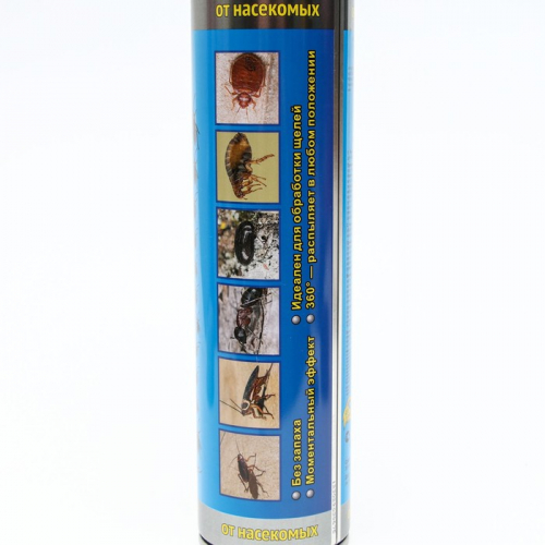 Аэрозоль БлокбастерProfi, от ползающих насекомых, флакон, 800 мл