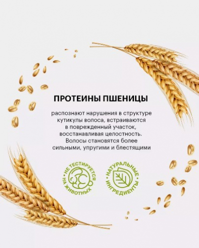 VEGANUP! Шампунь против выпадения волос АКТИВАТОР РОСТА. REDCHILLIMAX 250 мл