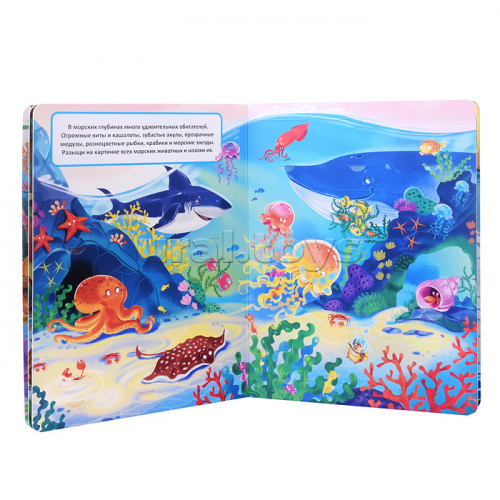 Книжка с окошками 