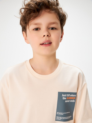 Комплект детский для мальчиков ((1)футболка и (2)шорты) Cod_set 20134200007 разноцветный