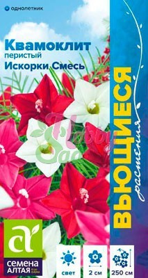 Цветы Квамоклит Искорки смесь перистая (0,2 гр) Семена Алтая Вьющиеся растения