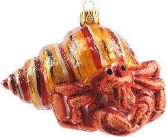 Sea Crab Shell A1656S