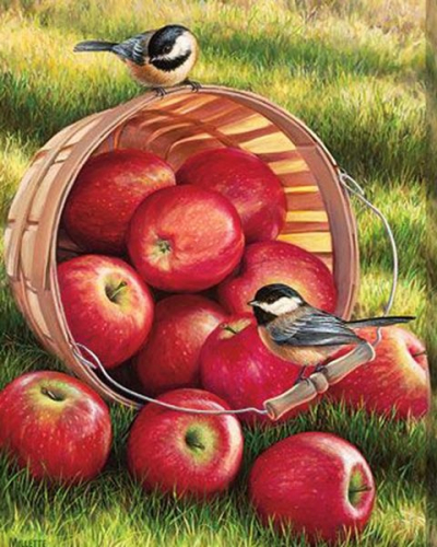 Картины по номерам Спелые яблочки