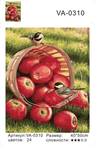Картины по номерам Спелые яблочки