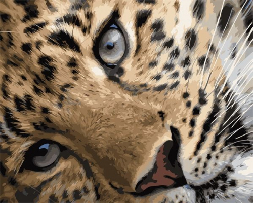 Картины по номерам Леопард